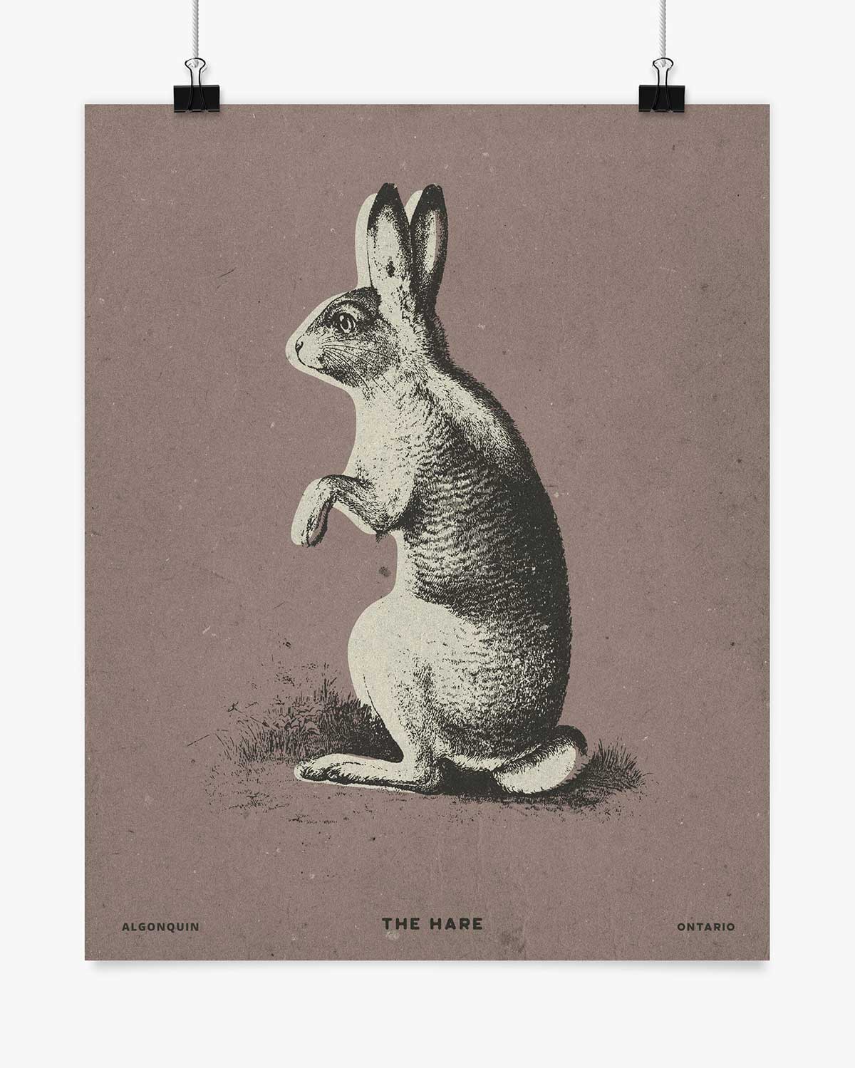 The Hare - Algonquin - Wall Art