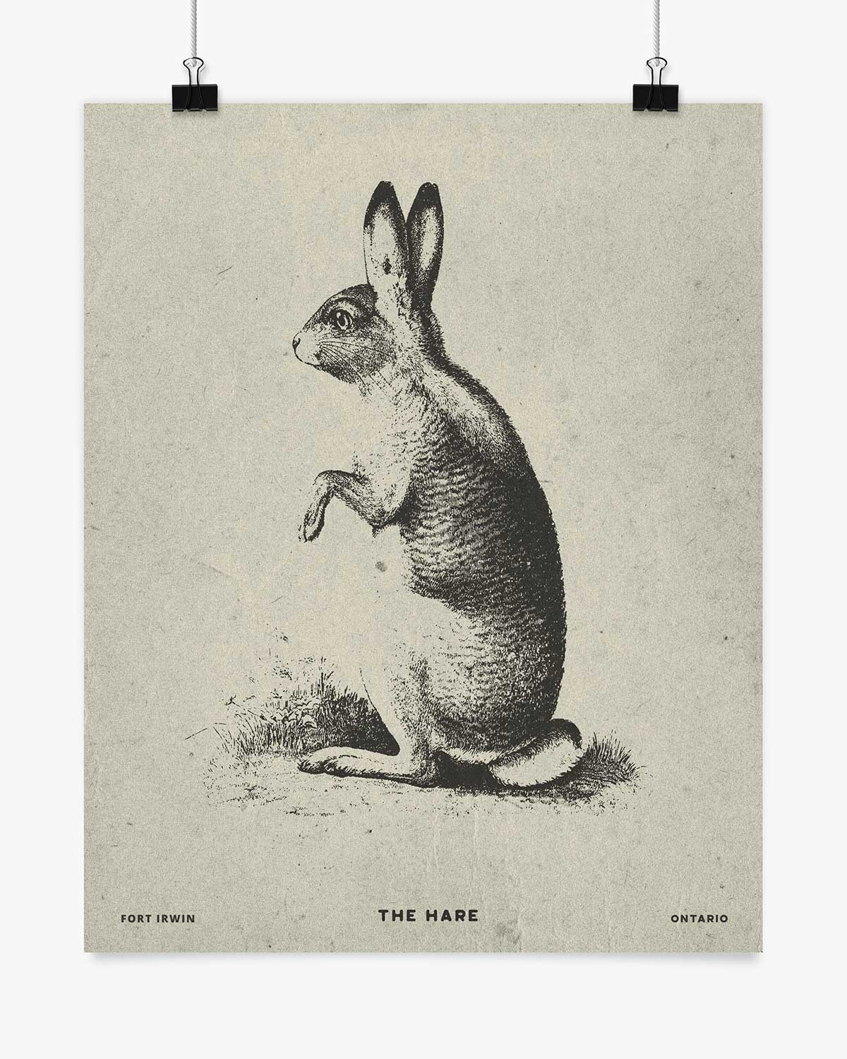 The Hare - Fort Irwin - Wall Art