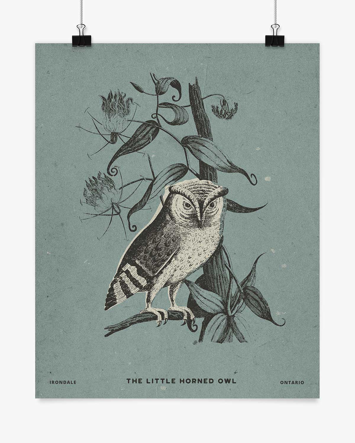 The Little Horned Owl - Irondale - Wall Art