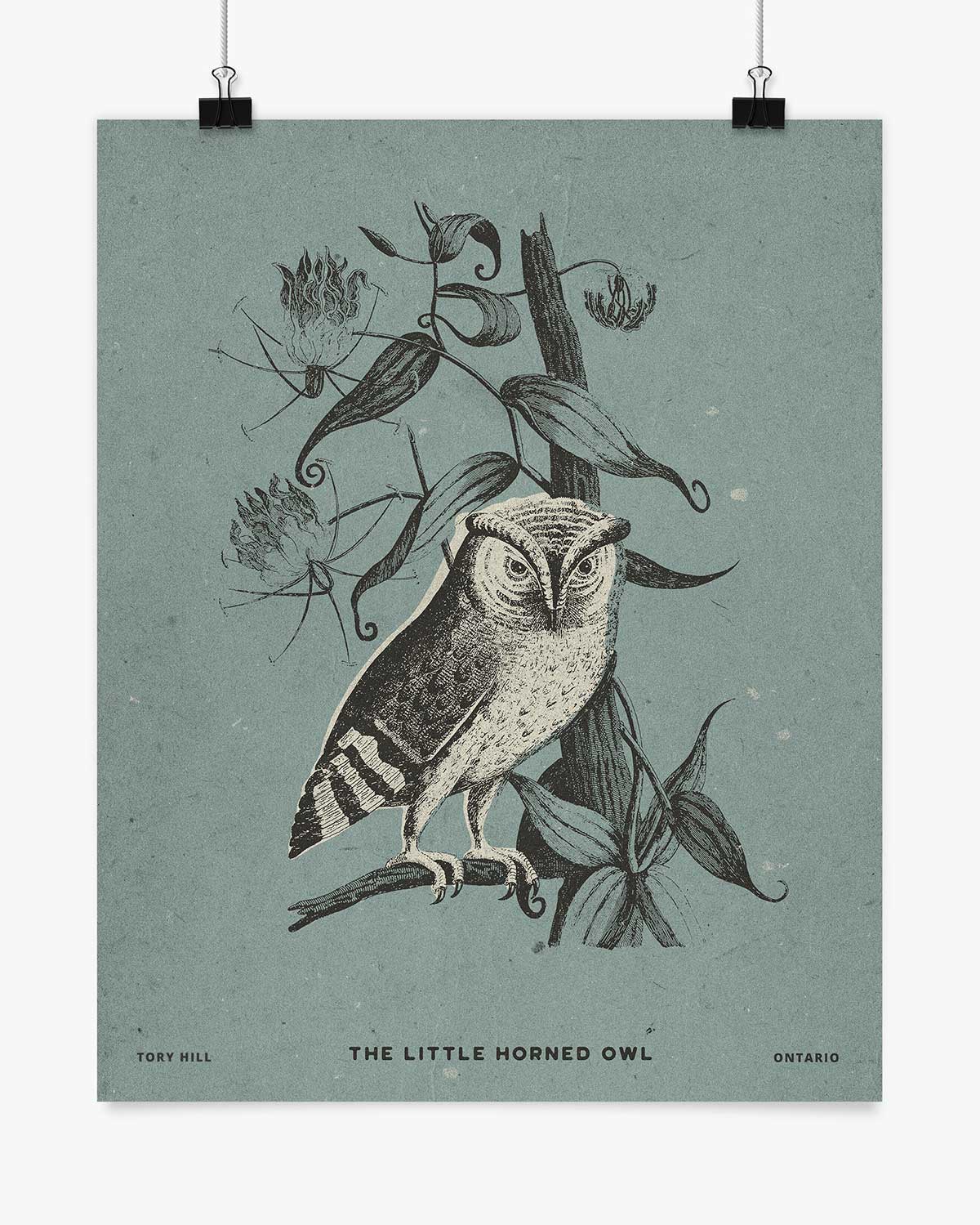 The Little Horned Owl - Tory Hill - Wall Art